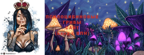 прущая мука Абаза