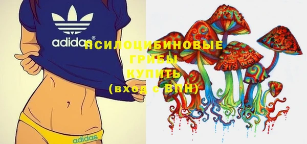 прущая мука Абаза