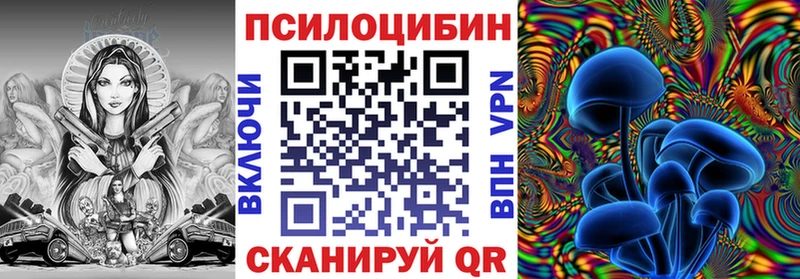 Псилоцибиновые грибы прущие грибы  кракен рабочий сайт  Дубовка 